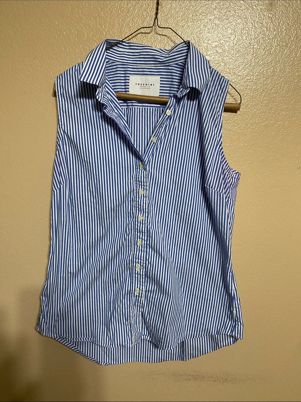 The Shirt by Rochelle Behrens Blue and White Striped Sleeveless Button-Down